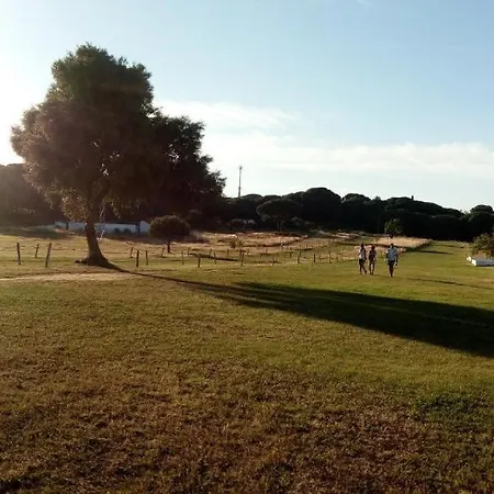 A&E Flat Falesia - Confortavel T1 A 150M Da Praia Da Falesia Alfamar